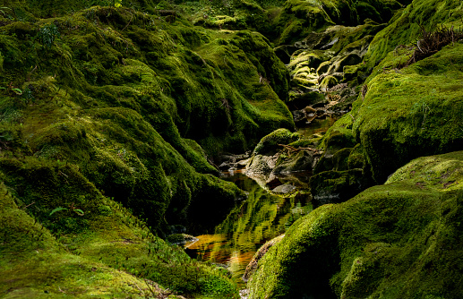 waterfall in the forest. moss background