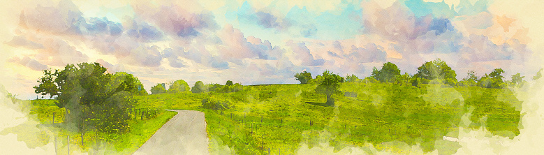 panoramic view of green fields and trees in watercolor style