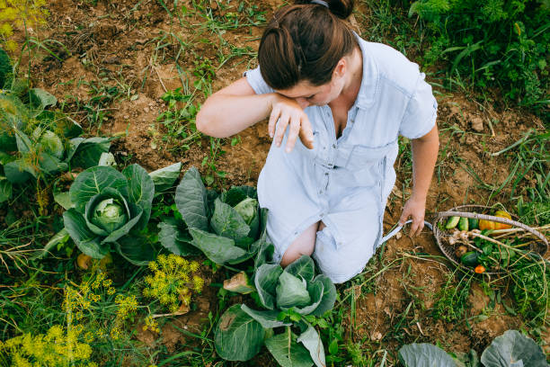 istock Woman working in the garden 1414180008