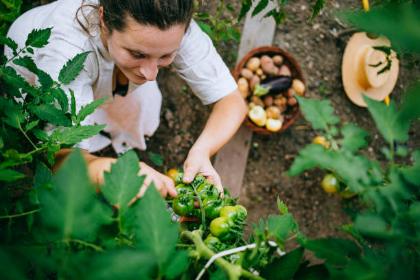 istock Woman working in the garden 1414180041