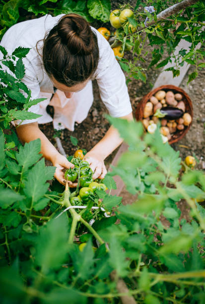istock Woman working in the garden 1414180043