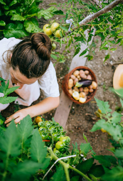 istock Woman working in the garden 1414180074