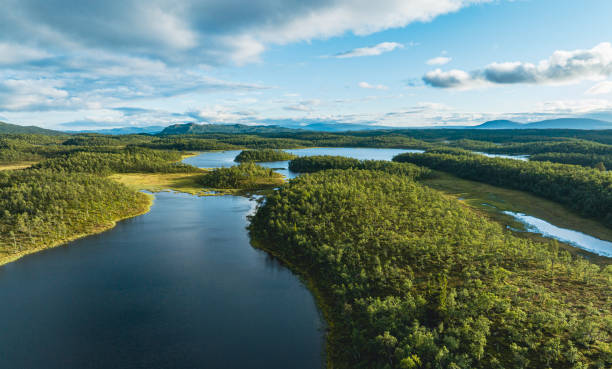 istock Sunset over lakes surrounded by green forest 1414181533