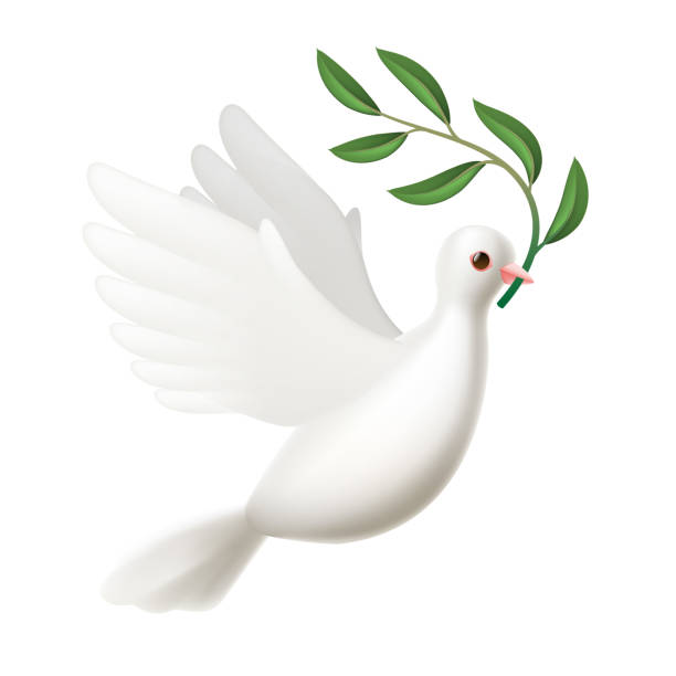 weiße friedenstaube fliegt mit grünem olivenzweig isoliert auf weißem hintergrund, vektorillustration - friedenstaube stock-grafiken, -clipart, -cartoons und -symbole