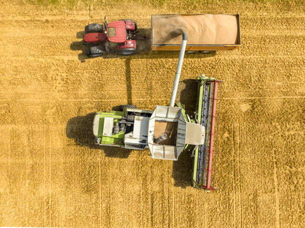 istock Combine harverster loading wheat into waiting trailers during summer seen from above 1414186850