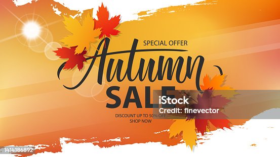 istock Autumn Sale promotional banner. Fall season special offer background with hand lettering, autumn leaves and white brush strokes for business, seasonal shopping and advertising. 1414186892