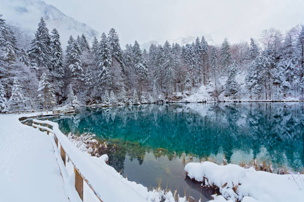 bellissimo paesaggio invernale - switzerland european alps mountain alpenglow foto e immagini stock