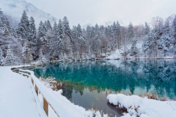 Beautiful winter Landscape stock photo