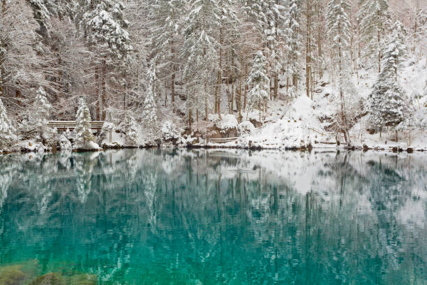 istock Beautiful winter Landscape 1414194916