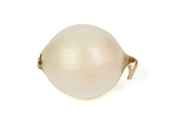 istock White onion bulb isolated on white background. 1414194935