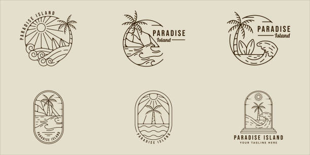 набор пальм пальмы логотип линия арт вектор простая минималистичная иллюстрация шаблон иконка графический дизайн. комплект коллекции раз� - text surfing surf palm tree stock illustrations