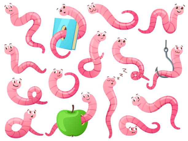 illustrazioni stock, clip art, cartoni animati e icone di tendenza di verme dei cartoni animati in diverse pose. lombrico strisciante, verme attraente su gancio e set vettoriale di topi di biblioteca - worm cartoon fishing bait fishing hook