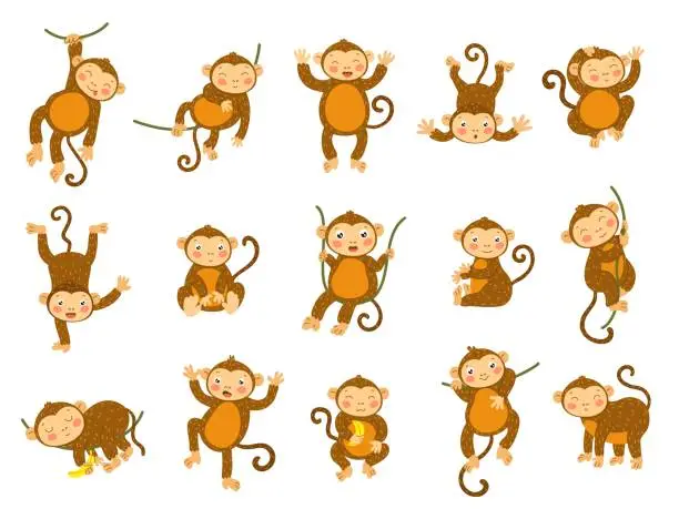 Vector illustration of Cute monkey. Cartoon wild animals in different poses, funny ape monkeys and primate character vector set