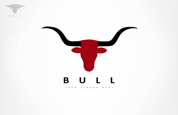 황소 머리 벡터 디자인 - texas longhorn cattle bull horned cattle stock illustrations