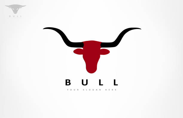 bull head vector design bull head vector design texas longhorns stock illustrations