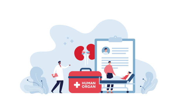 Volunteering and kidney organ donation concept. Vector flat people healthcare illustration. African doctor and female patient in medical bed character. Kidney, transplant box symbol. vector art illustration