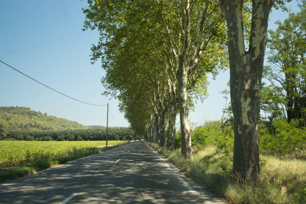 istock Countryside road in Alpes de Haute Provence 1414206379