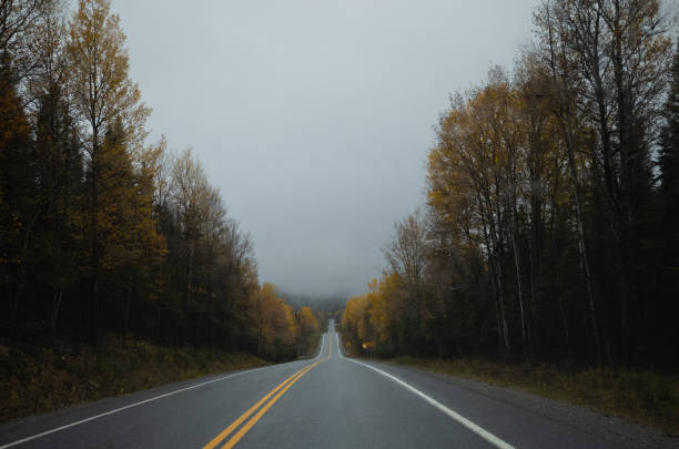 istock Autumn on the road 1414210061