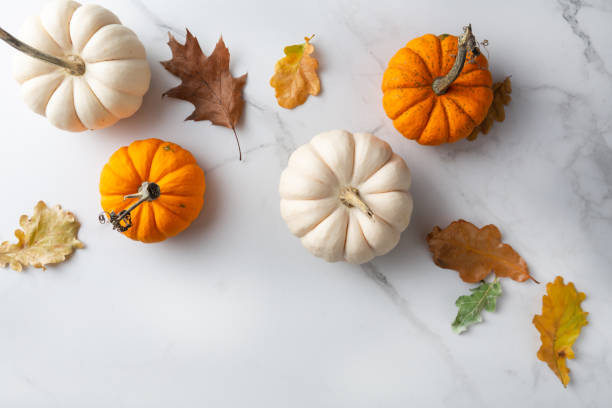 istock White and orange pumpkin on marble surface food top view 1414212644