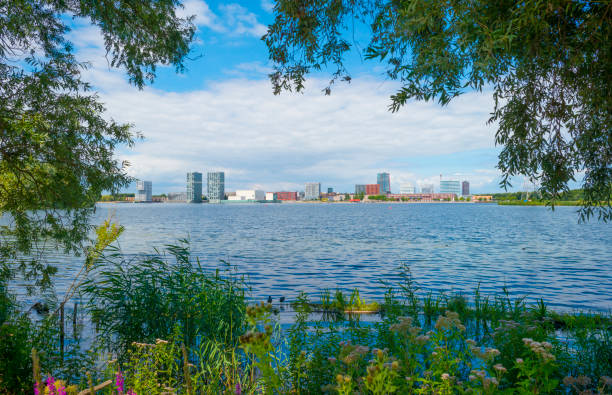 horizonte de una ciudad vista sobre un lago desde un parque en un cielo azul y brillante en verano - almere fotografías e imágenes de stock