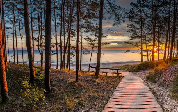 sentier en bois menant à une plage de la mer baltique - sunrise hill sea sun photos et images de collection