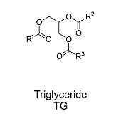 triglycerid-auch-triacylglycerin-oder-triacylglycerid-chemische-struktur.jpg?b=1&s=170x170&k=20&c=OD6jxts-ZgxVDtceezOYOmy-4Srzl-wsSsfkvnmBm7A=