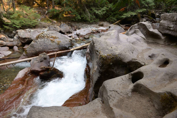 istock Avalanche Lake Trail in Glacier National Park USA 1414219087