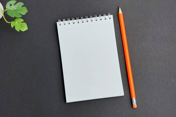 istock View from above. Layout. Pencil, notepad for notes, green plant on a gray background. The concept of learning. Desktop. 1414220224