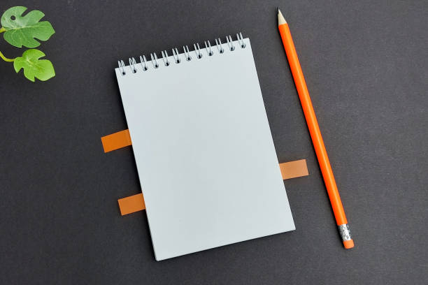 istock Layout. Gray background. Notepad, pencil, sticks in a notebook, green plant. The concept of learning. Desktop. 1414220730