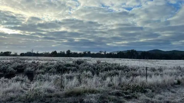 Frosty Paddock in Morning