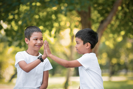 Two smiling asian boys does a high-five gesture. Brothers have fun outdoor in the public park in summer, close-up, selective focus. Children issues, leisure time, togetherness, friendship concept