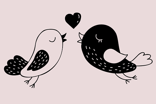 Pair of love birds with heart. Vector illustration. Hand drawn decorative drawing in doodle style. For design, decor, valentines and wedding cards