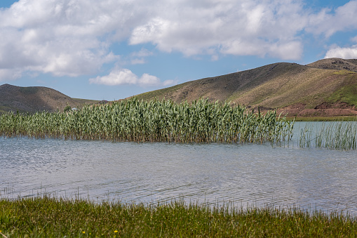 Cloudy and sunny weather. Mountainous region. Lake at high altitude. Many pike and reed beds in the lake