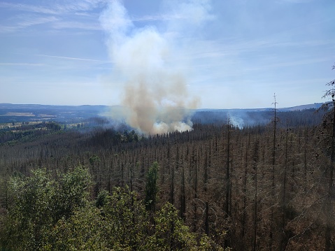 Forest fire in the Harz