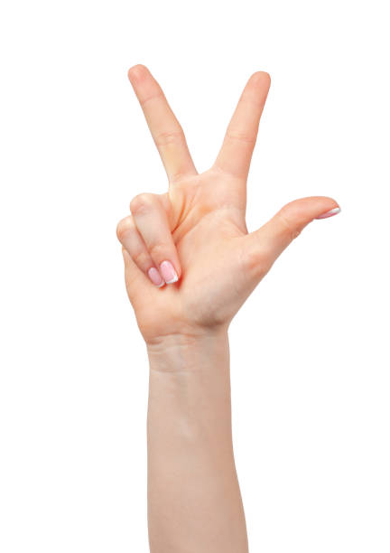 Female hand showing three fingers on white background stock photo