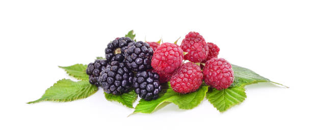istock Ripe raspberries and blackberries. 1414244370