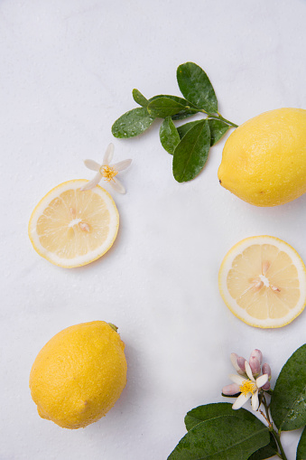 Fresh lemons and limes on a white background
