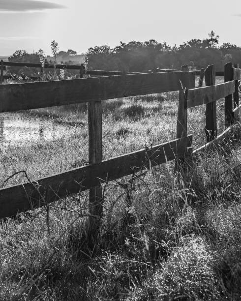 istock Uruguay countryside landscape 1414249920