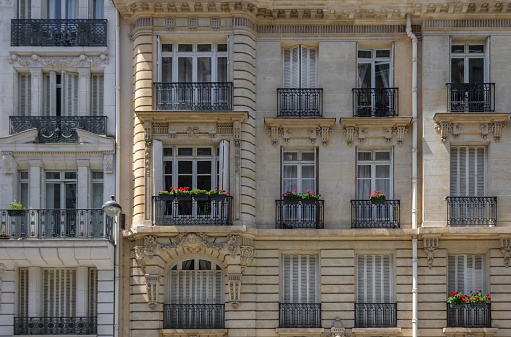 French balconies in Paris with flower, full frame
