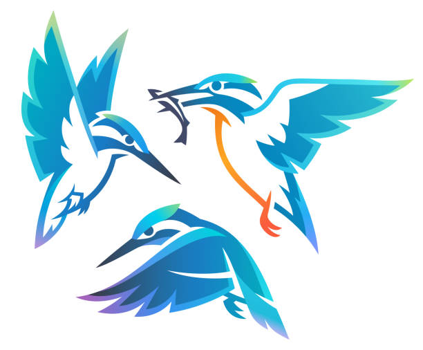 Stylized Kingfishers Stylized Birds - Kingfisher kingfisher stock illustrations