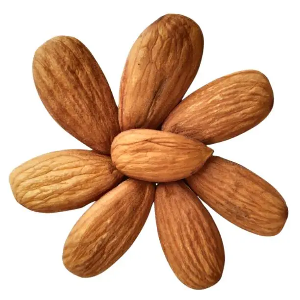 Image of Almond nuts, an edible and widely cultivated nut of  Prunus dulcis tree, in white background.