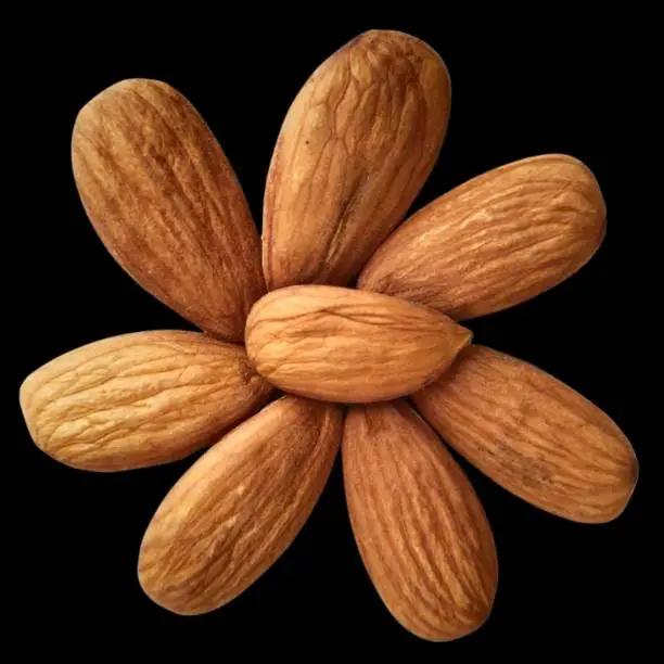 Image of Almond nuts arranged in flower shape, an edible and widely cultivated nut of  Prunus dulcis tree, in black background.
