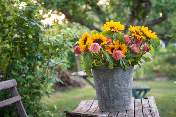 Fresh cut flowers at twilight in a rustic bucket