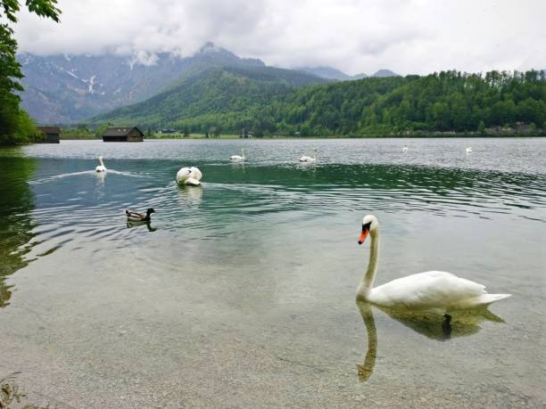 istock Spring mountains and lake in Austria. Green and blue colors. 1414256525