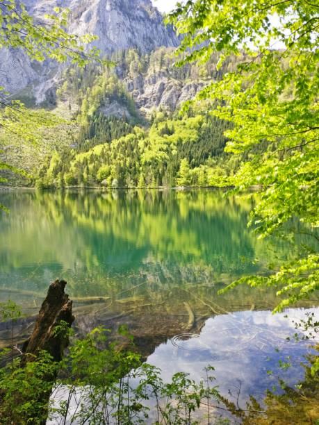 istock Spring mountains and lake in Austria. Green and blue colors. 1414256596