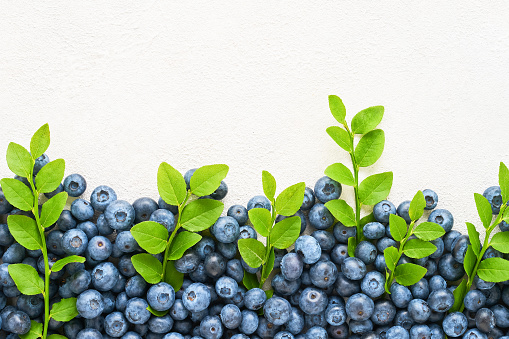 Fresh blueberries with leaves on white concrete background with copy space for text. Summer concept. Flat lay