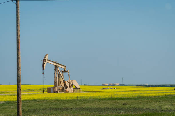 pompa dell'olio - oil pump oil industry prairie field foto e immagini stock