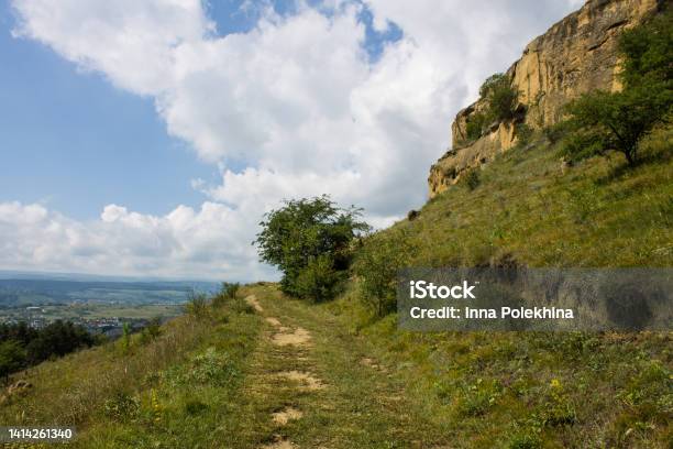 Landscape With A Mountain Path A Cliff And A Green Tree Stock Photo - Download Image Now