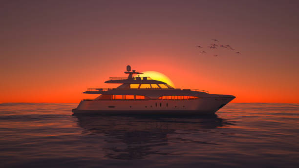 modern yacht in sunset with flying birds