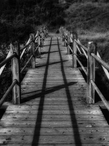 Study of Bridge in black and white